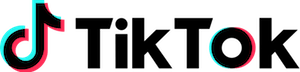 TikTok TOP 10 social network