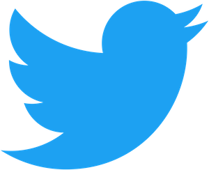 Twitter TOP 10 social network