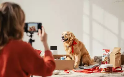 Pet influencers: why brands are betting on them in 2026